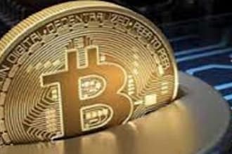setup a legist profitable withdrawal btc bot, btc app for you