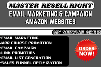 skyrocket master resell right course with active email marketing blueprints