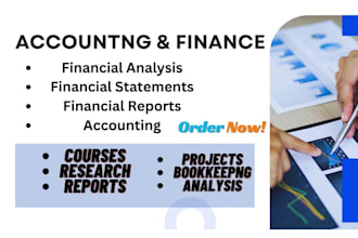 do accounting and finance assignment, financial analysis and reports