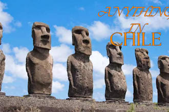 do anything for you in the whole of chile or business virtual assistant travel