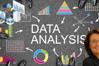 do statistical data analysis,data visualization with spss,tableau,r,python,excel