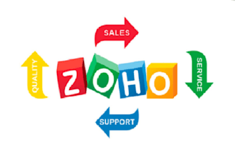 setup and customize zoho CRM, forms, analytics, books, campaigns