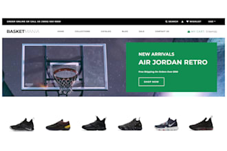 design 7 figure basketball shopify store, football jersey website, jersey store