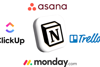 be your expert in asana trello clickup notion monday