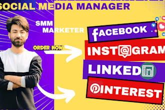 do SMM instagram, facebook, linkedin, pinterest   for your business growth