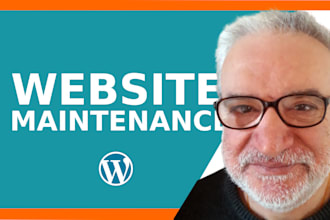 maintenance with backup of wordpress, plugins and themes