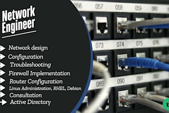 provide remote IT and network support, troubleshooting, and helpdesk assistance