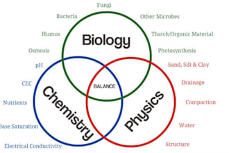 help in chemistry physics math statistics and biology assignments projects