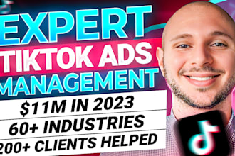 grow your sales or leads with tiktok ads