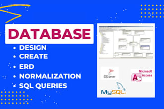 develop design database sql, my sql query ms access, erd, oracle tutor
