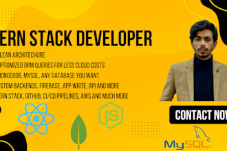 be your mern stack developer and mern stack expert