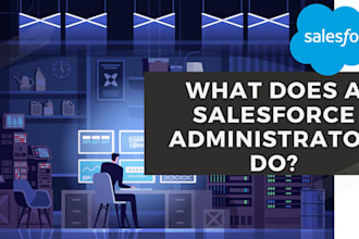 provide admin support services and salesforce customization