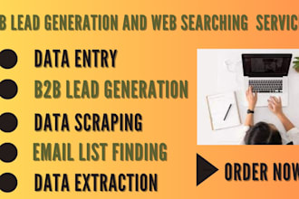 do data entry lead generation and web searching