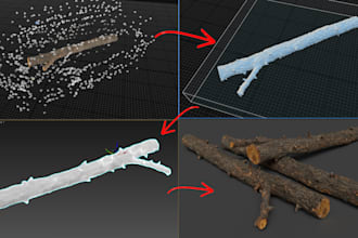 do photogrammetry and develop 3d models point cloud