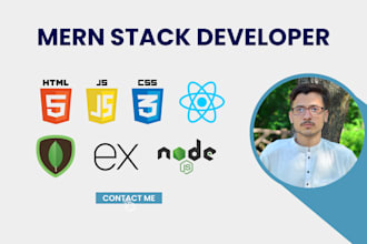 develop lightning fast responsive mern stack websites