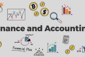 do financial management, accounting, and balance sheet work