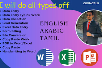do a typing job, retype scanned documents, excel data entry