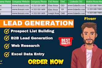 b2b lead generation, data enrichment and data entry services