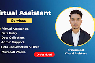 any virtual assistant, data entry and web research job