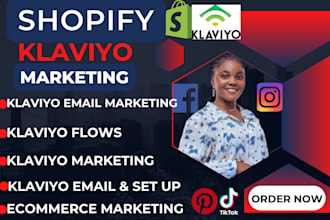 shopify klaviyo email marketing flows automation, cold send bulk email campaign