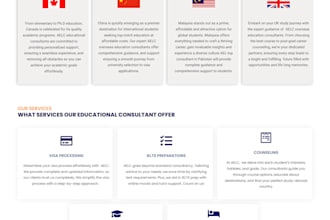 develop a unique and professional wordpress site