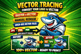 do manual vector tracing or convert to vector