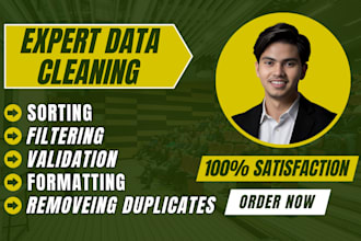 professionally clean, sort, and validate your data