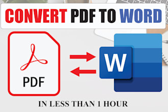 convert PDF to word in fiverr
