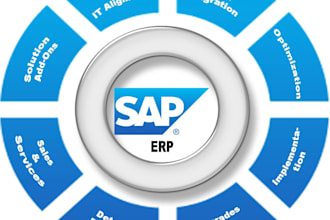 provide sap business one support and implementation