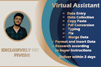 transfer and enter data from documents or pdfs into spreadsheets or web searches