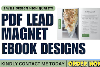 design unique PDF lead magnet, brochure, ebook report