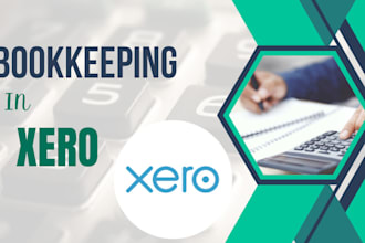 provide complete xero bookkeeping service