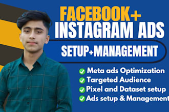 set up facebook and instagram ads campaign, fb advertising, meta ad manager