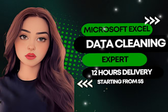 be your ms excel expert in google sheets and excel data cleaning