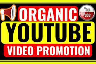 do organic youtube video promotion, marketing and channel monetization