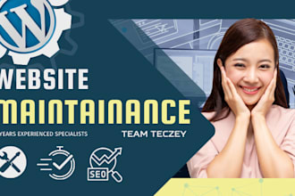 provide maintenance and support for your wordpress website