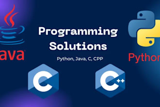 provide expert python and java programming services
