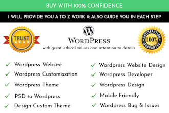 design a professional and responsive wordpress website