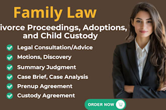 write legal motions, appeals, complaints, legal advice
