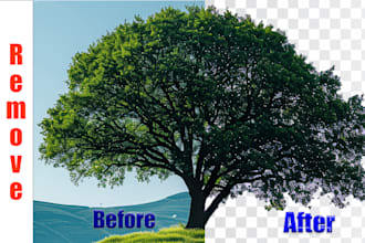 remove tree background from image in just 5 dollar