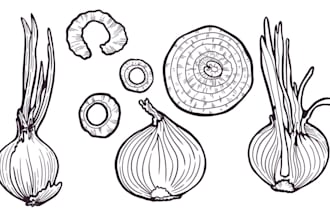 draw detailed fruit, plant, or any object engraving  style