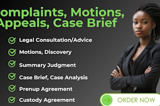 draft legal complaints, motions, appeals, legal advice, review