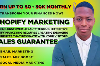 promote shopify store, shopify marketing, or sales funnel to boost shopify sales