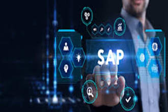 provide sap basis administration and support