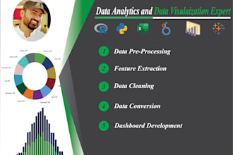 professional data analytics and visualization in powerbi, tableau, looker studio