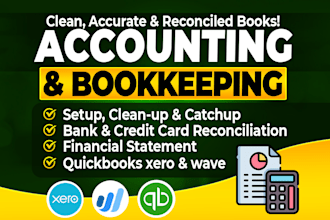 do setup, cleanup, accounting,bookkeeping in quickbooks online, xero wave excel