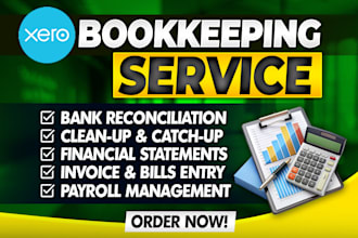 do xero bokkeeping setup, clean up, catch up, reconciliation financial statement