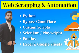 do data scrapping, data mining, web scrapping and automation using python