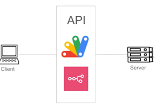 provide API integration services