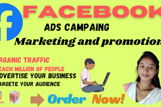 do organic facebook marketing and promotion, fb ads campaign, fb advertising
